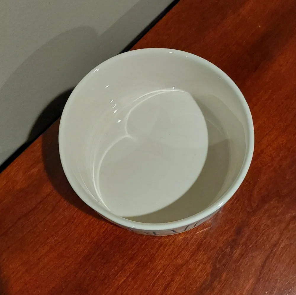 🎉HP🎉 NWOT RAE DUNN DEVOUR Pet Food Bowl